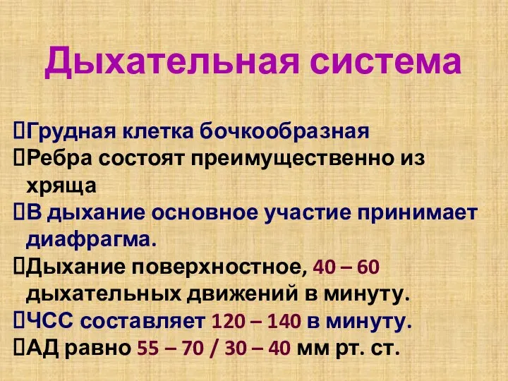 Дыхательная система Грудная клетка бочкообразная Ребра состоят преимущественно из хряща В дыхание