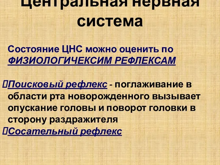 Центральная нервная система Состояние ЦНС можно оценить по ФИЗИОЛОГИЧЕКСИМ РЕФЛЕКСАМ Поисковый рефлекс