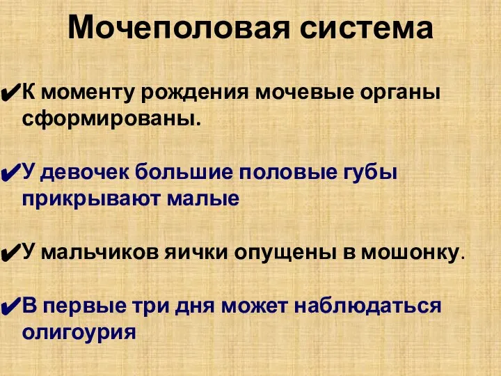 Мочеполовая система К моменту рождения мочевые органы сформированы. У девочек большие половые