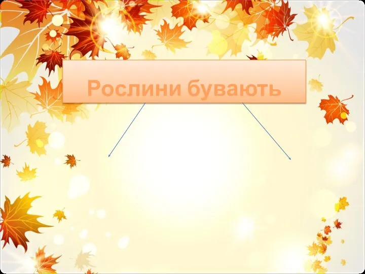 листопадні Рослини бувають вічнозелені