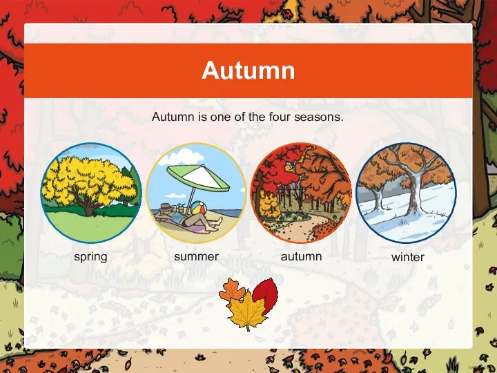 Autumn Autumn is one of the four seasons. spring summer autumn winter