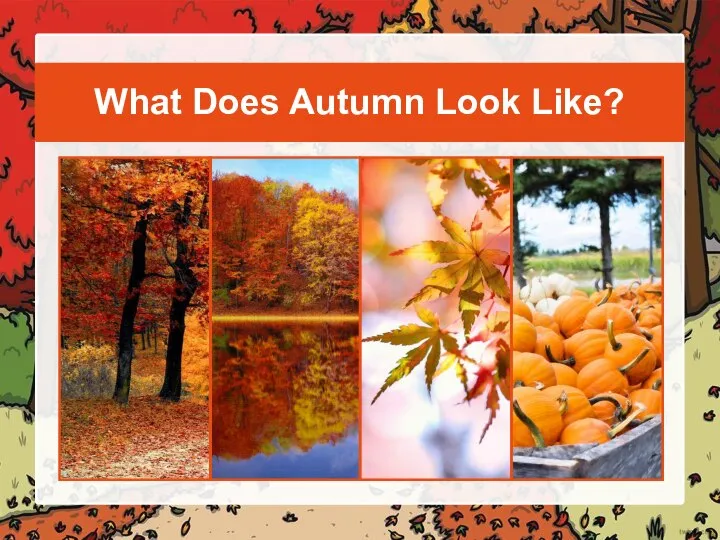 What Does Autumn Look Like?