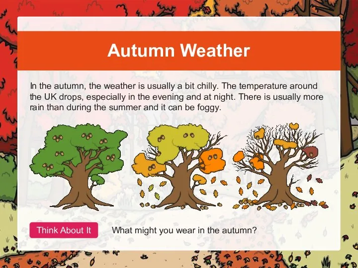 Autumn Weather In the autumn, the weather is usually a bit chilly.