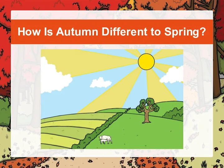 How Is Autumn Different to Spring?