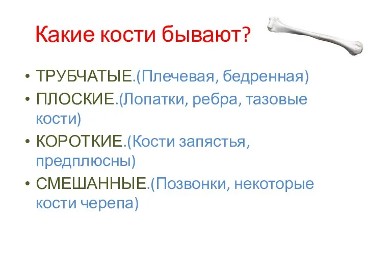 Какие кости бывают? ТРУБЧАТЫЕ.(Плечевая, бедренная) ПЛОСКИЕ.(Лопатки, ребра, тазовые кости) КОРОТКИЕ.(Кости запястья, предплюсны) СМЕШАННЫЕ.(Позвонки, некоторые кости черепа)