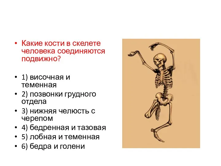 Какие кости в скелете человека соединяются подвижно? 1) височная и теменная 2)