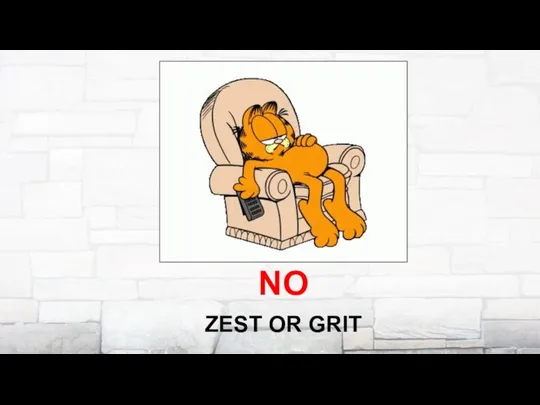 ZEST OR GRIT NO