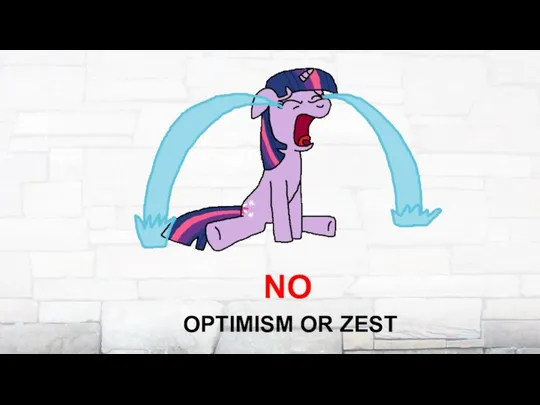 OPTIMISM OR ZEST NO