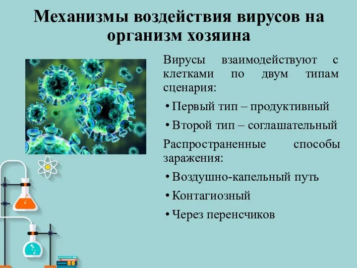 Механизмы воздействия вирусов на организм хозяина Вирусы взаимодействуют с клетками по двум