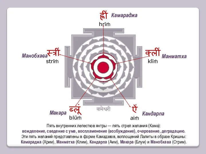 ह्रीं hrīṁ Пять внутренних лепестков янтры — пять стрел желания (Кама): вожделение,