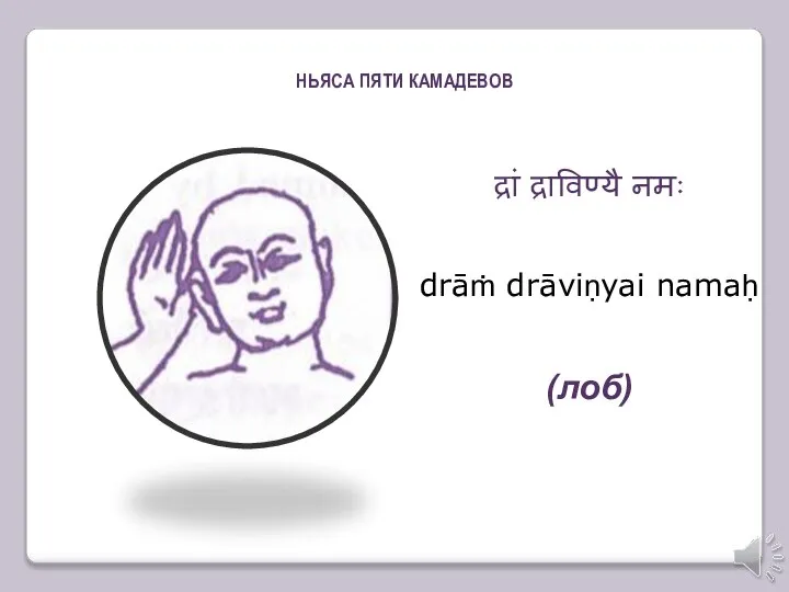 द्रां द्राविण्यै नमः drāṁ drāviṇyai namaḥ (лоб) (лоб) НЬЯСА ПЯТИ КАМАДЕВОВ