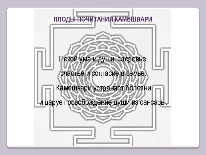 Покой ума и души, здоровье, счастье и согласие в семье. Камешвари устраняет