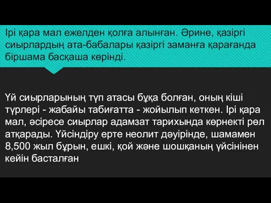 Ірі қара мал ежелден қолға алынған. Әрине, қазіргі сиырлардың ата-бабалары қазіргі заманға