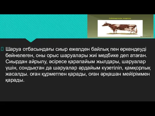 Шаруа отбасындағы сиыр ежелден байлық пен өркендеуді бейнелеген, оны орыс шаруалары жиі