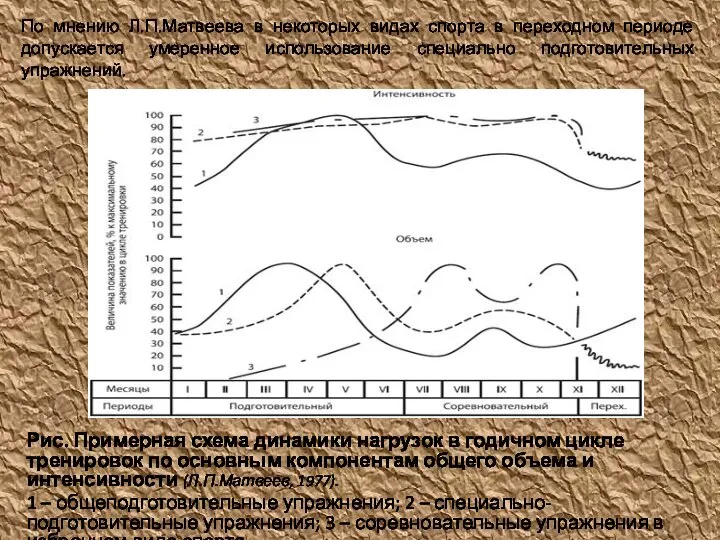 По мнению Л.П.Матвеева в некоторых видах спорта в переходном периоде допускается умеренное