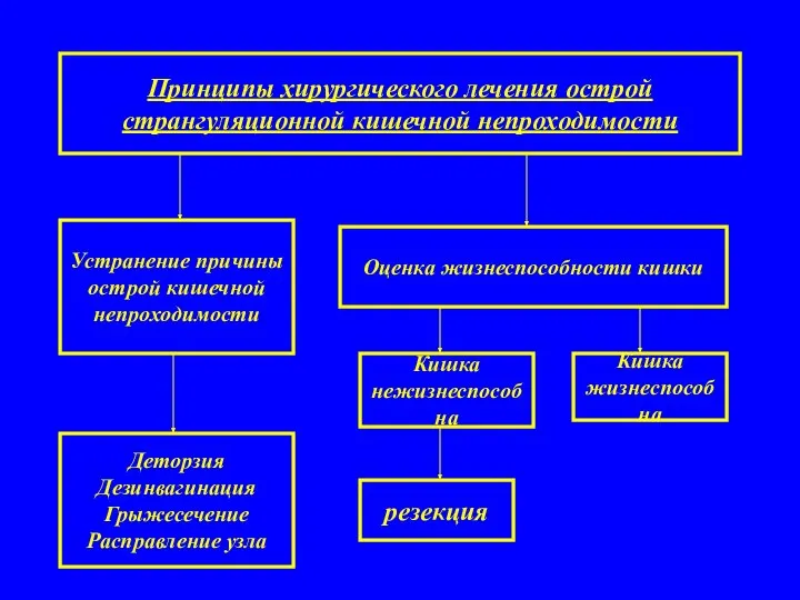 Принципы хирургического лечения острой странгуляционной кишечной непроходимости Устранение причины острой кишечной непроходимости