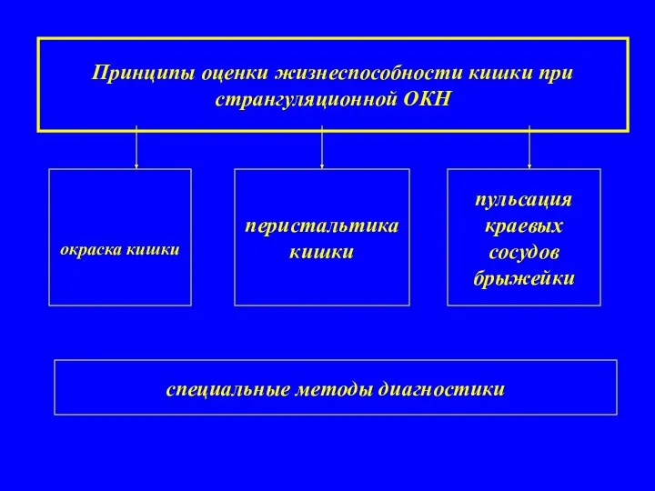 Принципы оценки жизнеспособности кишки при странгуляционной ОКН окраска кишки перистальтика кишки пульсация