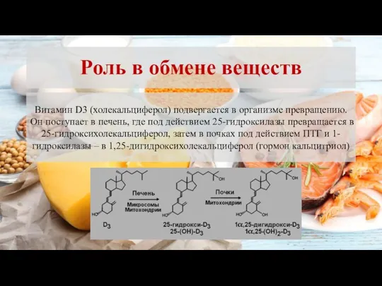 Роль в обмене веществ Витамин D3 (холекальциферол) подвергается в организме превращению. Он