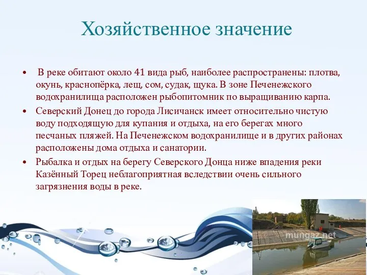 Хозяйственное значение В реке обитают около 41 вида рыб, наиболее распространены: плотва,