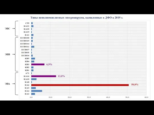 Типы неполиомиелитных энтеровирусов, выявленные в ДФО в 2019 г.