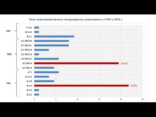 Типы неполиомиелитных энтеровирусов, выявленные в СФО в 2019 г.