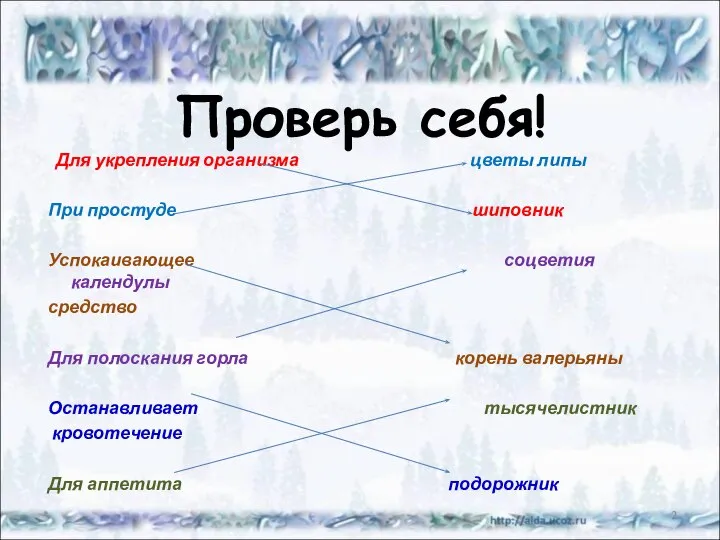 Проверь себя! Для укрепления организма цветы липы При простуде шиповник Успокаивающее соцветия