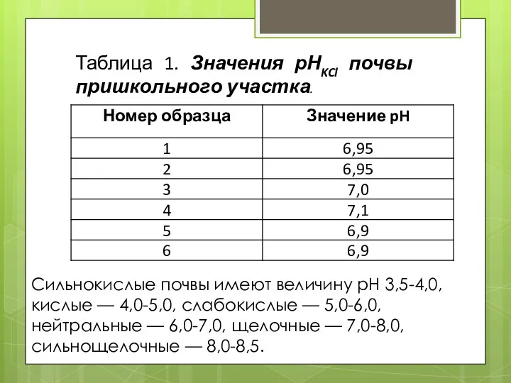 Таблица 1. Значения рНKCl почвы пришкольного участка. Сильнокислые почвы имеют величину рН