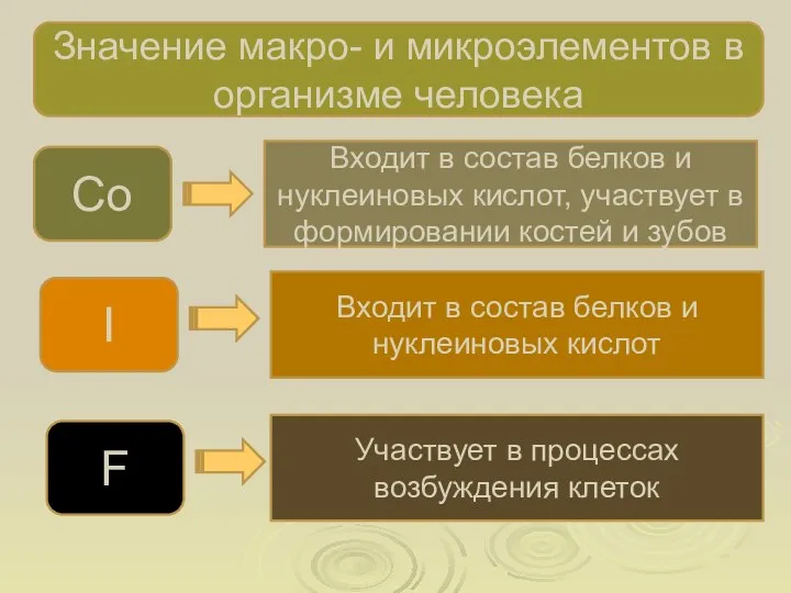 Значение макро- и микроэлементов в организме человека Co Входит в состав белков