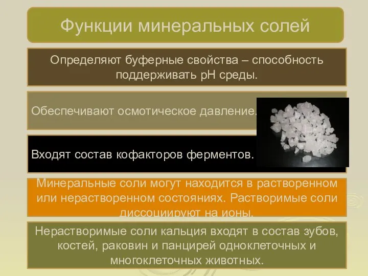 Функции минеральных солей Определяют буферные свойства – способность поддерживать pH среды. Обеспечивают