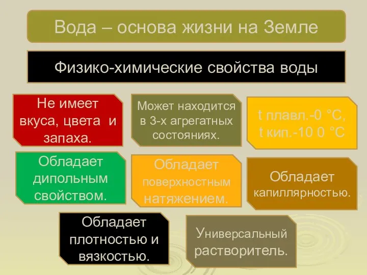 Вода – основа жизни на Земле Физико-химические свойства воды Не имеет вкуса,