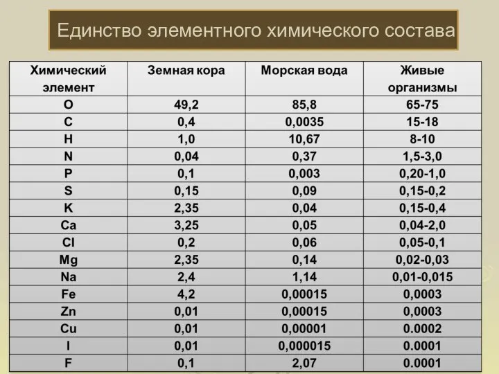 Единство элементного химического состава