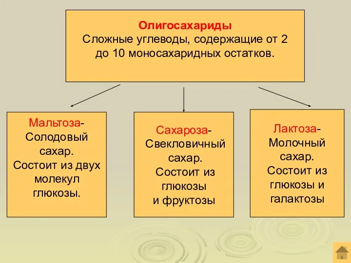 Олигосахариды Сложные углеводы, содержащие от 2 до 10 моносахаридных остатков. Мальтоза- Солодовый