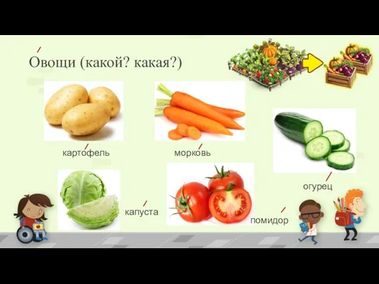 Овощи (какой? какая?) картофель морковь огурец капуста помидор