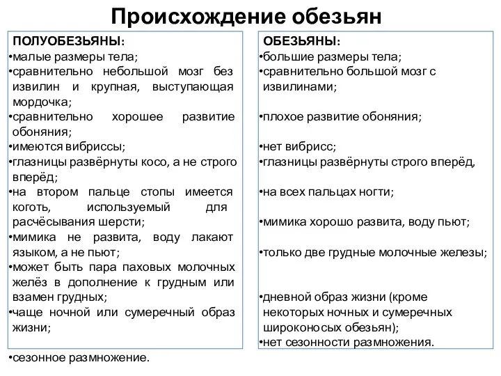 Происхождение обезьян ПОЛУОБЕЗЬЯНЫ: малые размеры тела; сравнительно небольшой мозг без извилин и