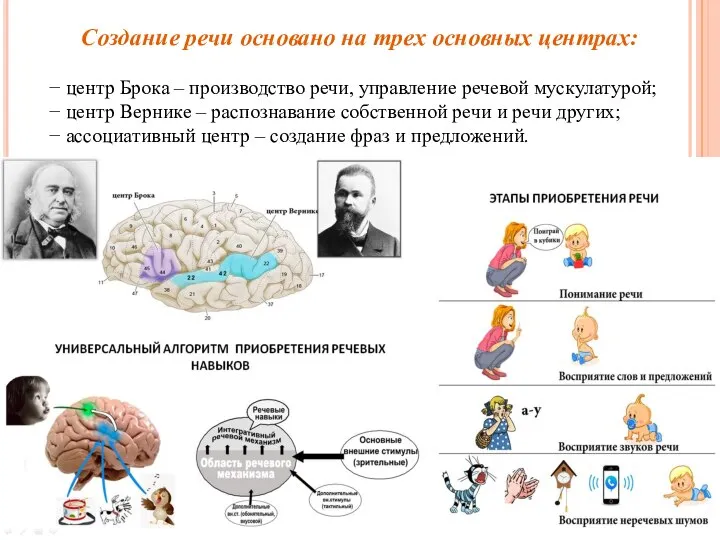 Создание речи основано на трех основных центрах: − центр Брока – производство