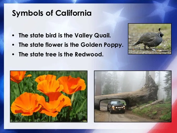 Symbols of California The state bird is the Valley Quail. The state