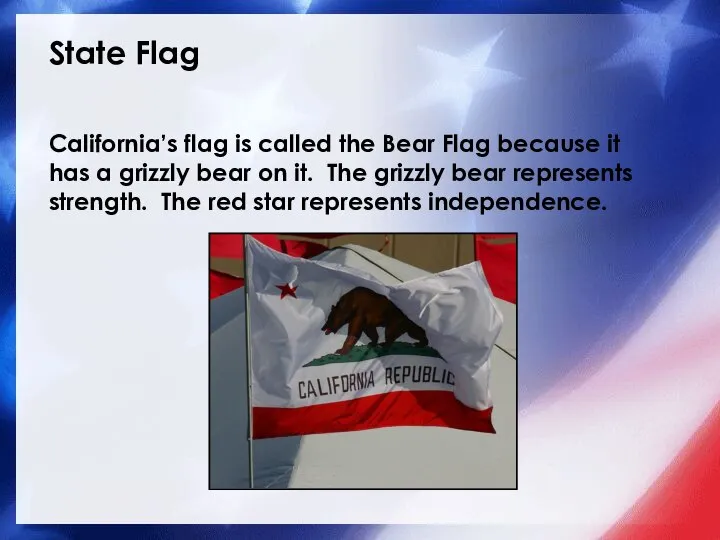 State Flag California’s flag is called the Bear Flag because it has