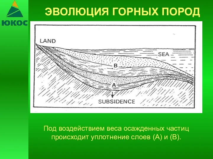 ЭВОЛЮЦИЯ ГОРНЫХ ПОРОД Под воздействием веса осажденных частиц происходит уплотнение слоев (A) и (В).