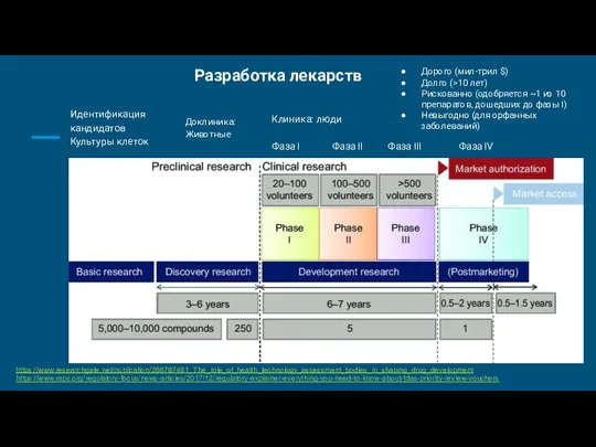 Разработка лекарств Идентификация кандидатов Культуры клеток Клиника: люди Фаза I Фаза II