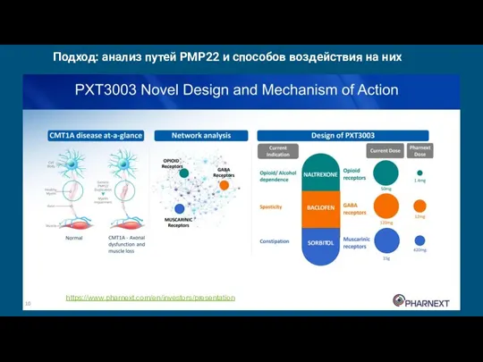 https://www.pharnext.com/en/investors/presentation Подход: анализ путей PMP22 и способов воздействия на них