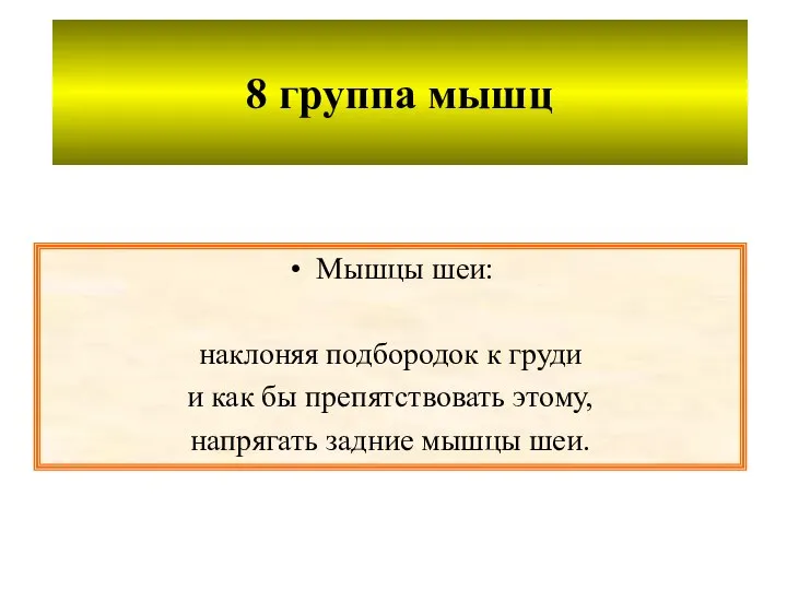 8 группа мышц Мышцы шеи: наклоняя подбородок к груди и как бы