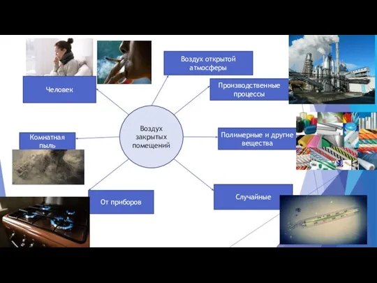 Воздух закрытых помещений Производственные процессы Полимерные и другие вещества Случайные Человек Комнатная