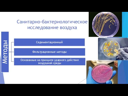 Санитарно-бактериологическое исследование воздуха