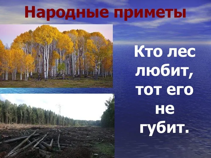 Народные приметы Кто лес любит, тот его не губит.