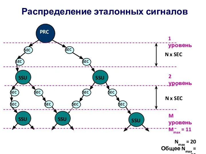 Распределение эталонных сигналов SSU SSU SSU SSU SSU PRC SEC SEC SEC