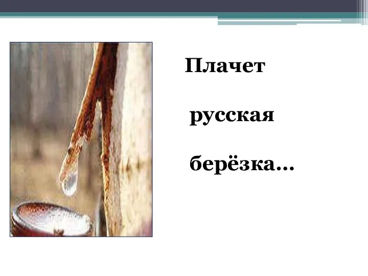 плачет русс Плачет русская берёзка…