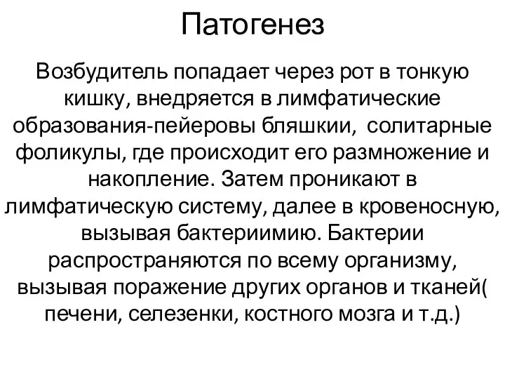 Патогенез Возбудитель попадает через рот в тонкую кишку, внедряется в лимфатические образования-пейеровы