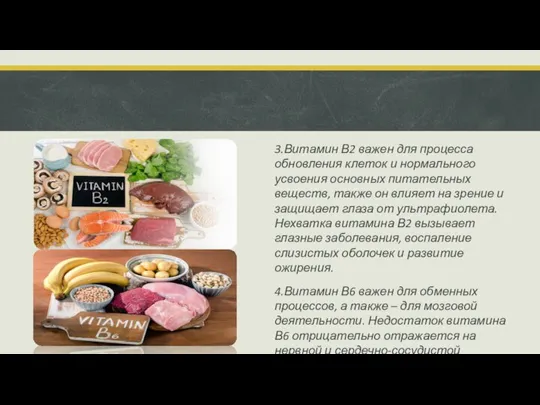 3.Витамин В2 важен для процесса обновления клеток и нормального усвоения основных питательных