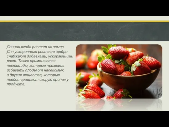 Данная ягода растет на земле. Для ускоренного роста ее щедро снабжают добавками,