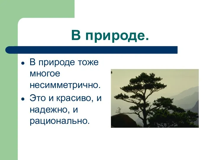 В природе. В природе тоже многое несимметрично. Это и красиво, и надежно, и рационально.